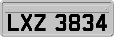LXZ3834