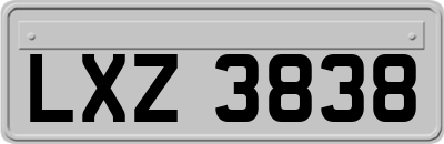 LXZ3838