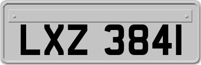 LXZ3841