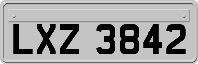 LXZ3842