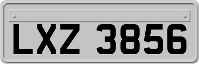LXZ3856