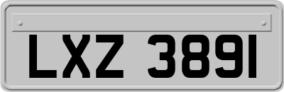LXZ3891