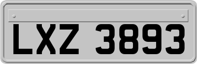 LXZ3893
