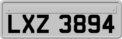 LXZ3894