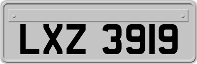 LXZ3919