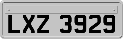 LXZ3929