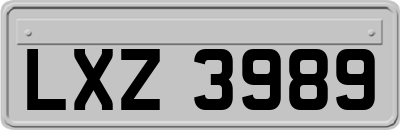 LXZ3989