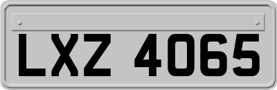 LXZ4065