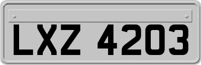 LXZ4203