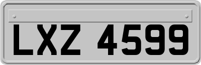 LXZ4599