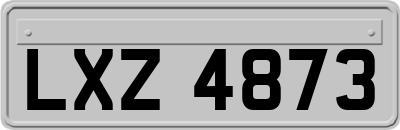 LXZ4873