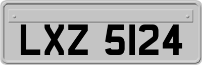 LXZ5124