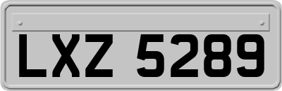 LXZ5289