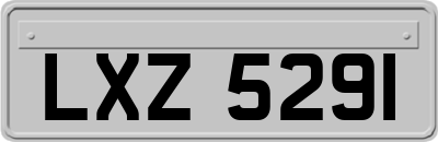 LXZ5291