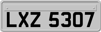 LXZ5307