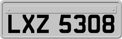 LXZ5308