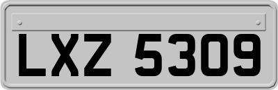LXZ5309