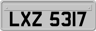 LXZ5317