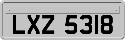 LXZ5318