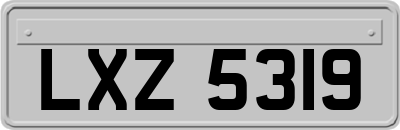 LXZ5319