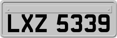 LXZ5339