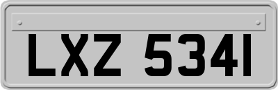 LXZ5341