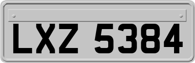LXZ5384