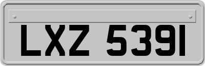 LXZ5391