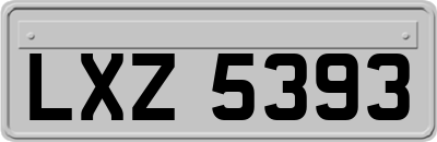 LXZ5393