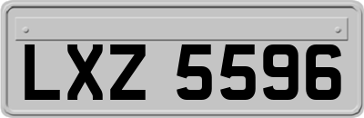 LXZ5596