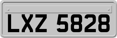 LXZ5828
