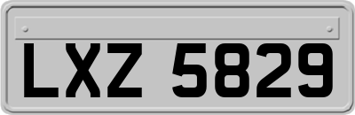 LXZ5829