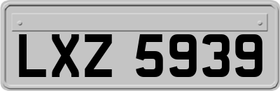 LXZ5939