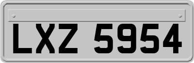 LXZ5954