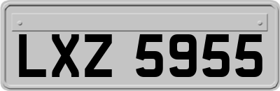 LXZ5955