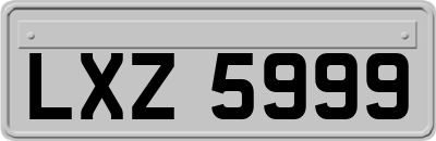 LXZ5999