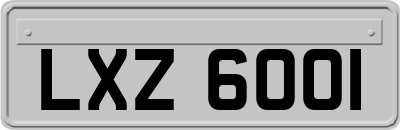 LXZ6001