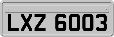 LXZ6003