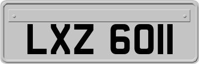 LXZ6011