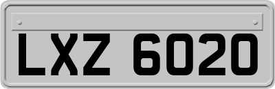 LXZ6020