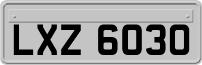 LXZ6030