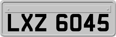 LXZ6045