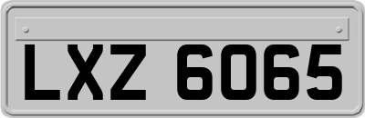 LXZ6065