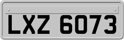 LXZ6073