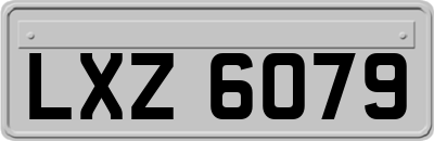 LXZ6079