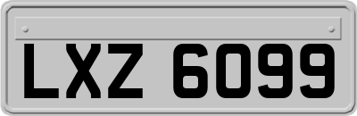 LXZ6099