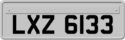 LXZ6133