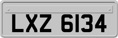 LXZ6134
