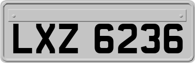 LXZ6236