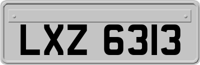 LXZ6313